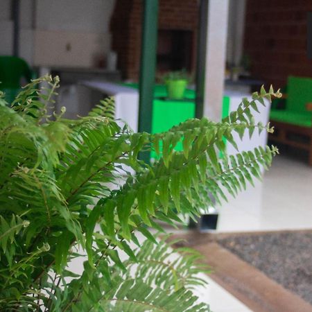 Helecho'S Hostal Hostel Encarnacion Ngoại thất bức ảnh