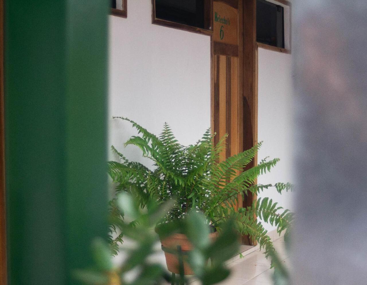 Helecho'S Hostal Hostel Encarnacion Ngoại thất bức ảnh