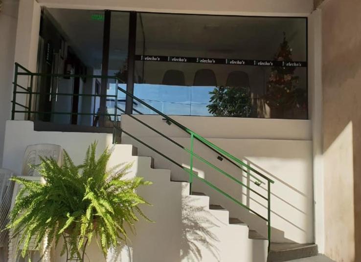 Helecho'S Hostal Hostel Encarnacion Ngoại thất bức ảnh